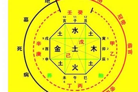 2024出生八字|生辰八字算命、五行喜用神查詢（免費測算）